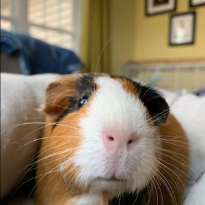 Meet your Posher, Jodi